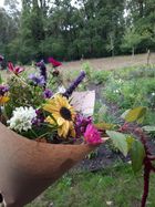 Fieflora