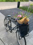 Fieflora
